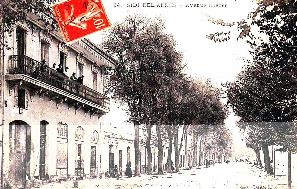 1025- Sidi-Bel-Abbes - Avenue Kleber.jpg